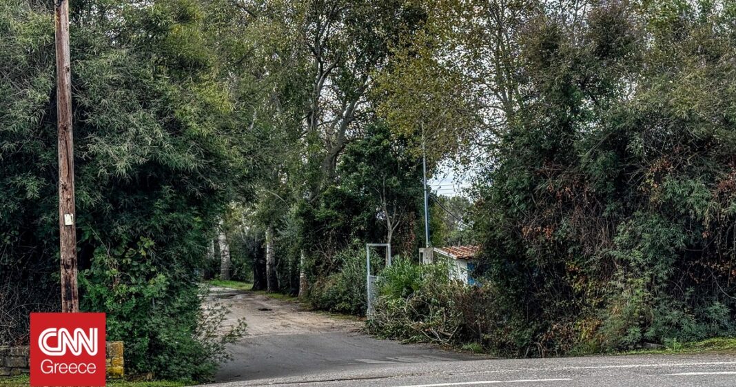 Φοινικούντα: Αποκαλύψεις και ανατροπές – Οι Αρχές πλησιάζουν τον δράστη και εντοπίζουν νέο ύποπτο!