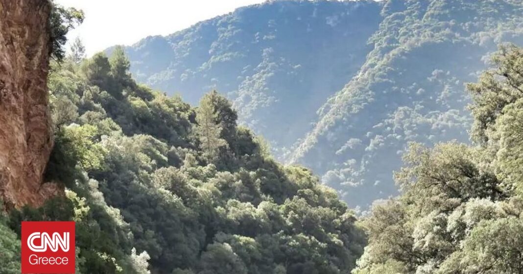 «Συναρπαστική Επιχείρηση Διάσωσης: Τραυματισμένη Γυναίκα Στο Φαράγγι Λισσού της Σούγιας»