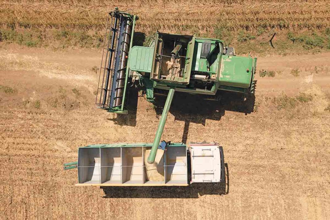 «Ανακαλύψτε την Κινόα: Το Μυστικό για Σταθερό και Ικανοποιητικό Εισόδημα!»