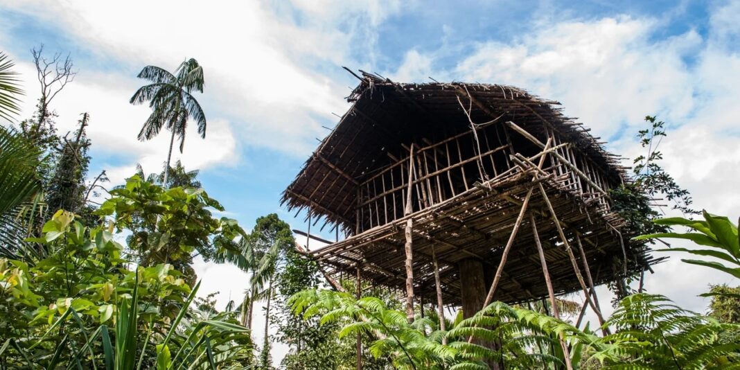 «Ανακαλύψτε τη μαγευτική φυλή της Ινδονησίας που κατοικεί σε σπίτια 30 μέτρων πάνω από το έδαφος, στις κορυφές των δέντρων!»