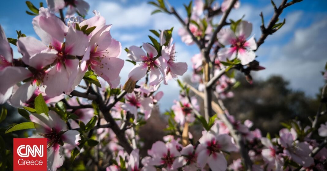 «Ανακαλύψτε τον καιρό: Αίθριες μέρες με λίγες τοπικές νεφώσεις και δροσερές θερμοκρασίες!»