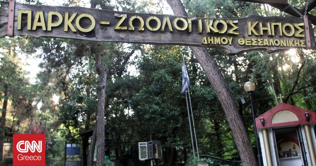 «Συναγερμός στον Ζωολογικό Κήπο Θεσσαλονίκης: Κρούσμα βρουκέλλωσης σε κριό αναγκάζει σε προσωρινό κλείσιμο!»